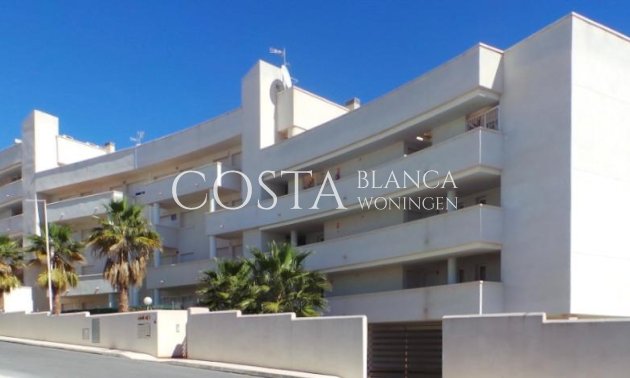 Apartament - Nowy budynek - Orihuela Costa - PAU 8