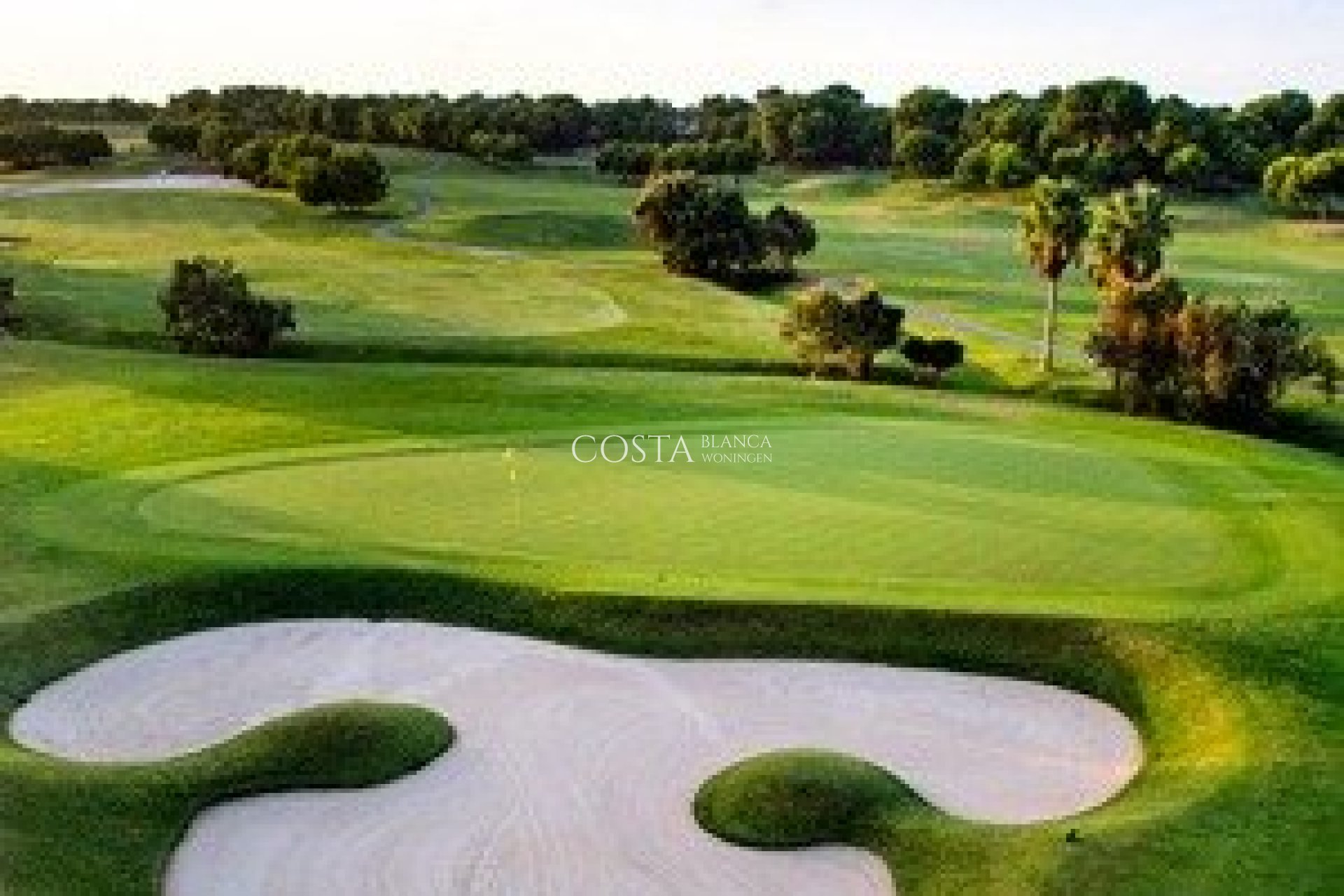 New Build - Villa -
Pilar de la Horadada - Lo Romero Golf