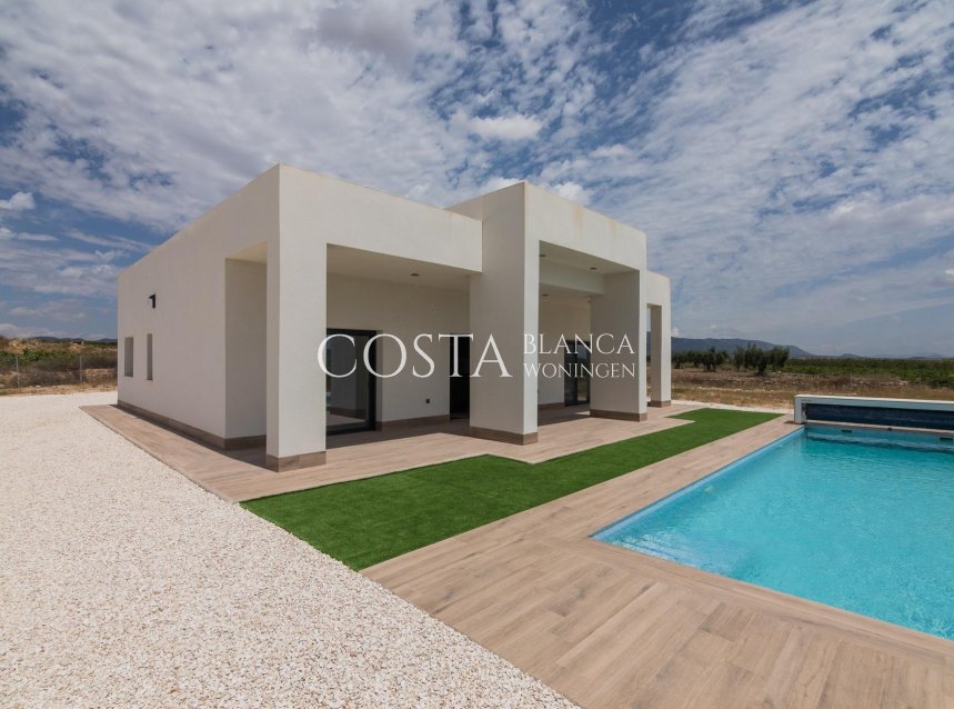 New Build - Villa -
Pinoso - Campo