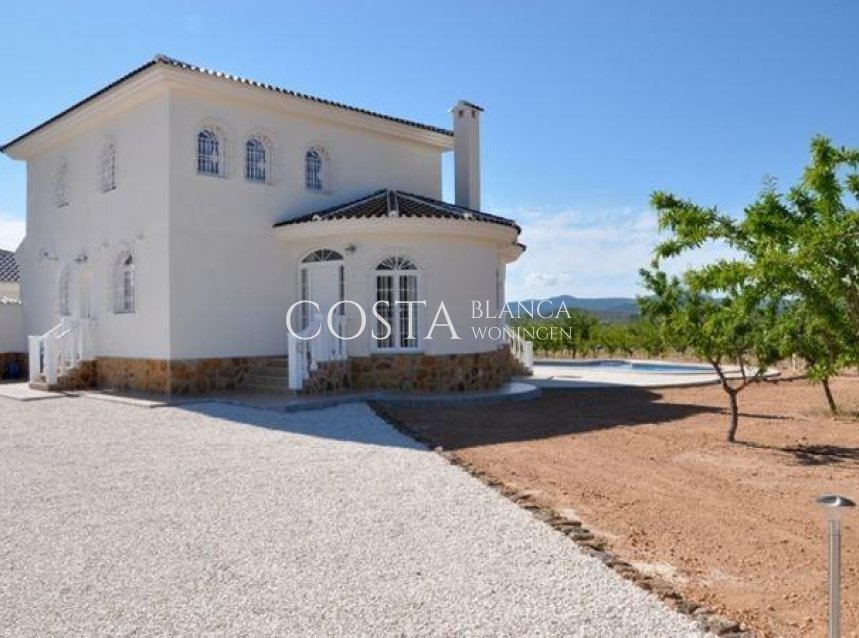 New Build - Villa -
Pinoso - Campo