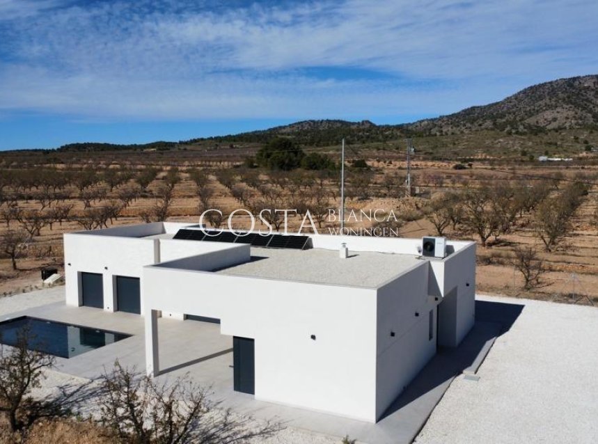 New Build - Villa -
Pinoso - Campo