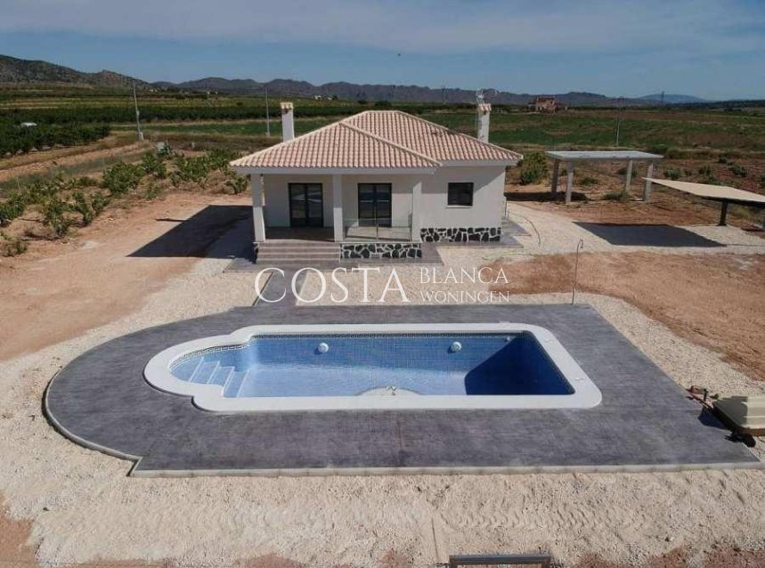 Nouvelle construction - Villa -
Pinoso