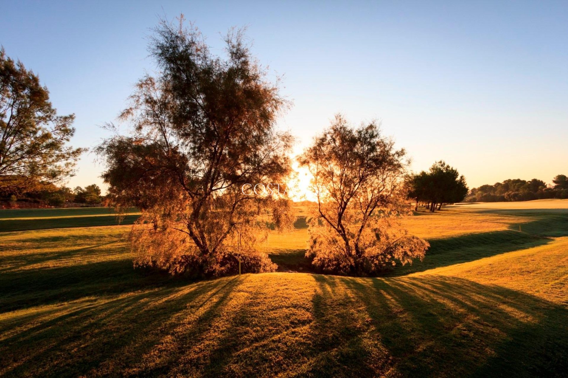 Nowy budynek - Willa -
Pilar de la Horadada - Lo Romero Golf