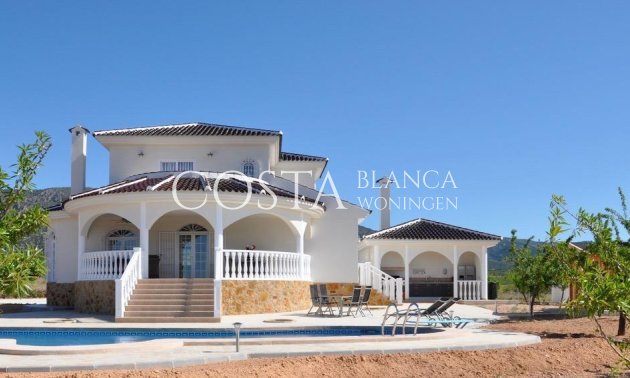 Villa - New Build - Pinoso - Campo