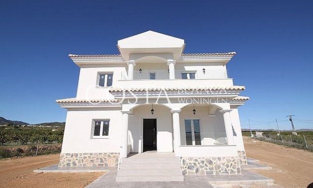 Villa - Nouvelle construction - Pinoso - Pinoso