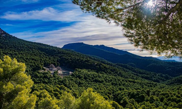 S'imprégner d'un peu de nature Sierra de Espuña