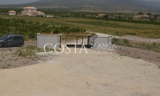 Nieuwbouw Woningen - Villa -
Pinoso
