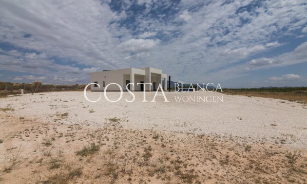 Nouvelle construction - Villa -
Pinoso - Campo