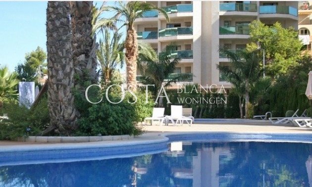 New Build - Apartment -
Calpe