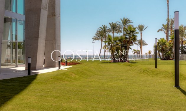 New Build - Apartment -
Benidorm - Playa Poniente